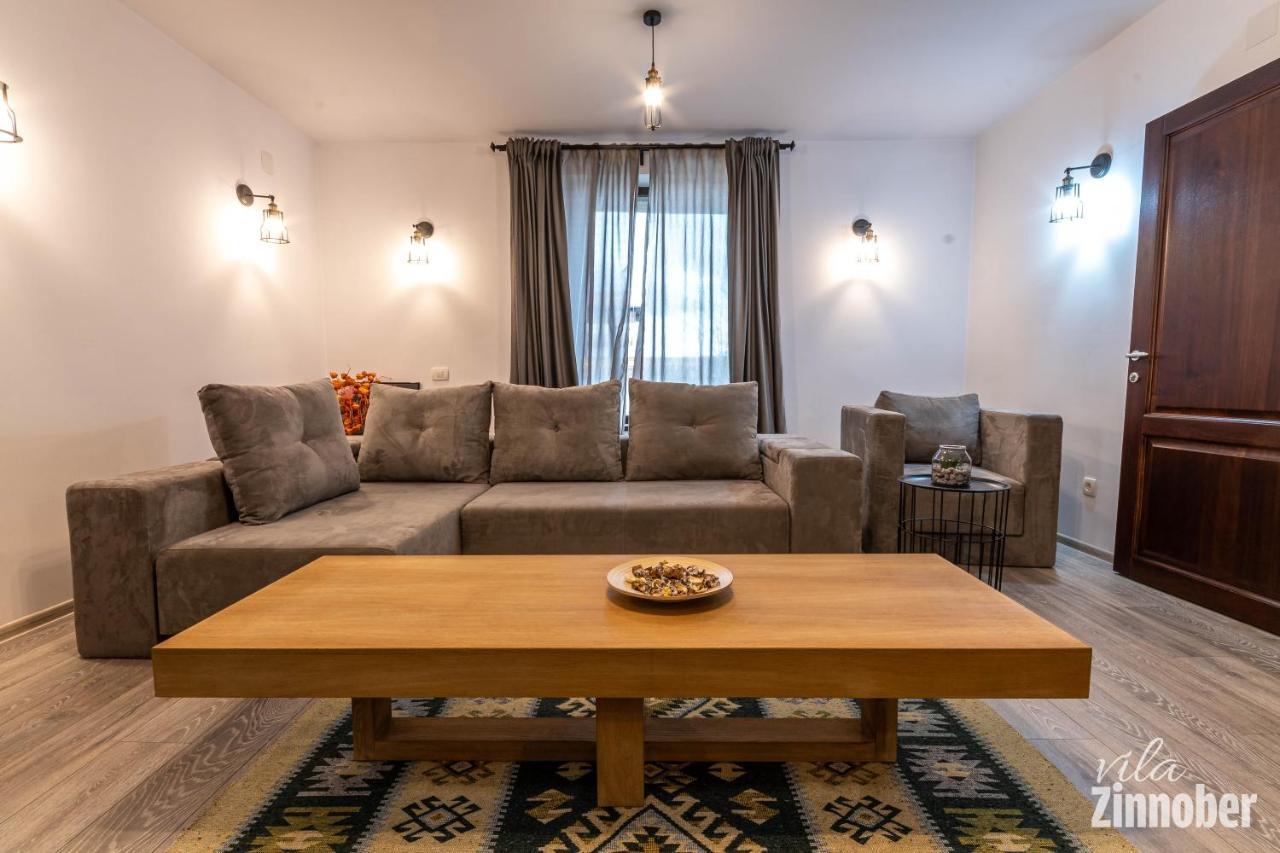 Vila Zinnober 布拉索夫 外观 照片