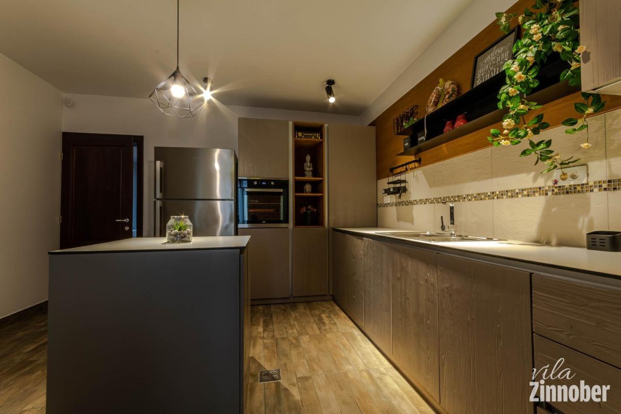 Vila Zinnober 布拉索夫 外观 照片
