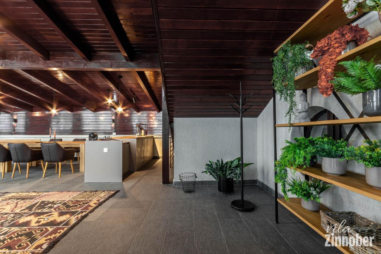 Vila Zinnober 布拉索夫 外观 照片