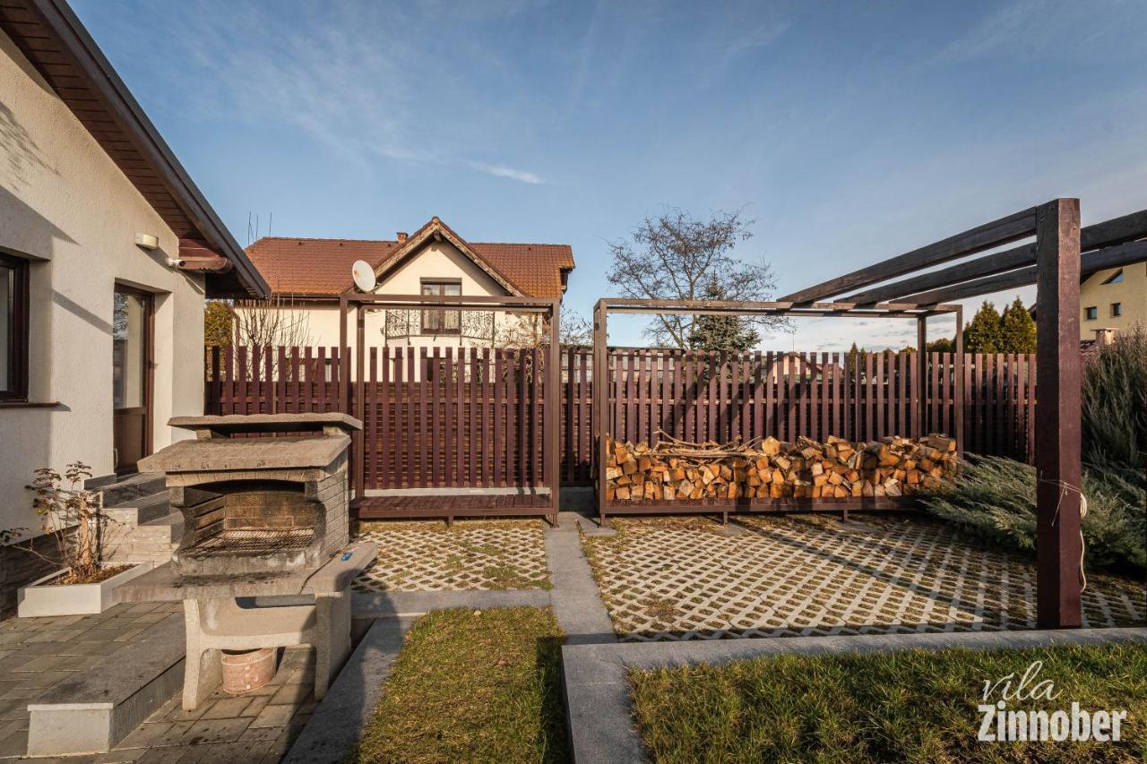Vila Zinnober 布拉索夫 外观 照片