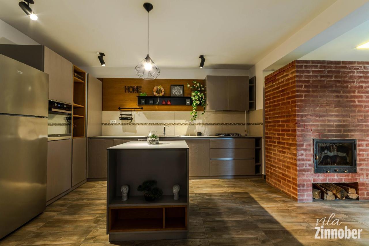Vila Zinnober 布拉索夫 外观 照片