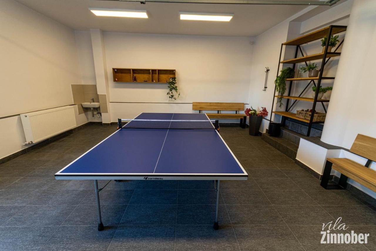 Vila Zinnober 布拉索夫 外观 照片