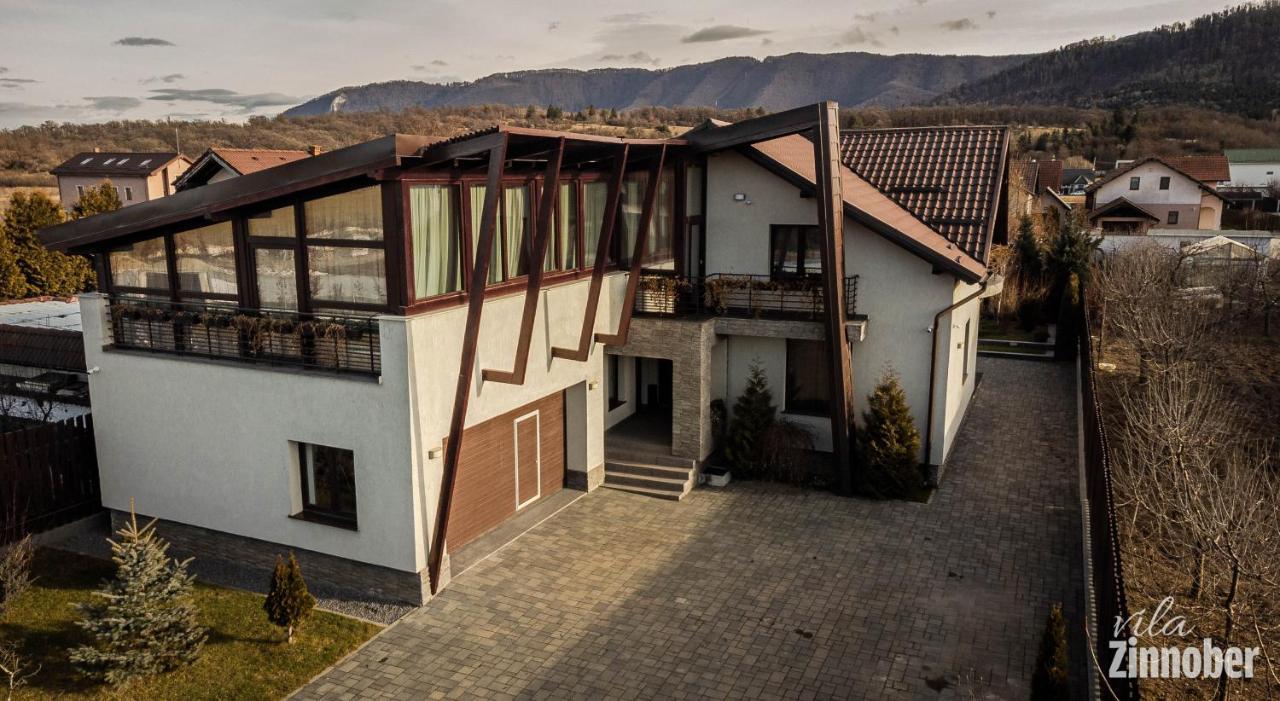 Vila Zinnober 布拉索夫 外观 照片