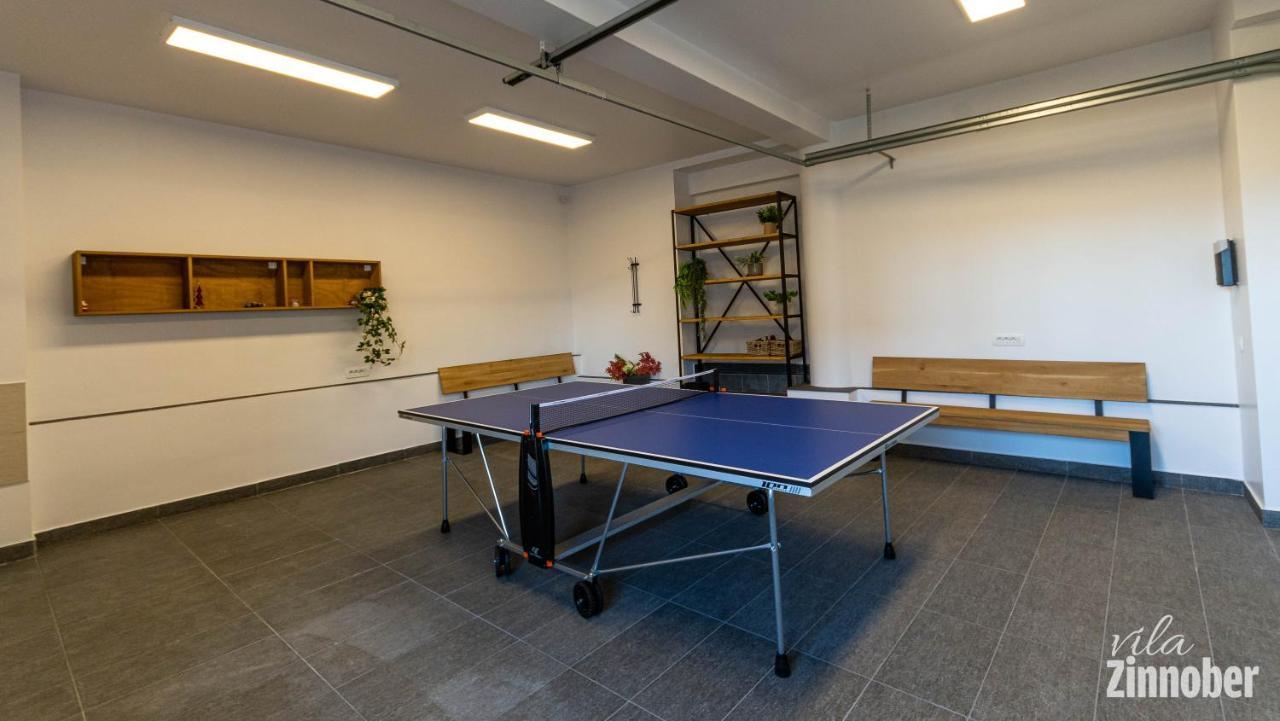 Vila Zinnober 布拉索夫 外观 照片