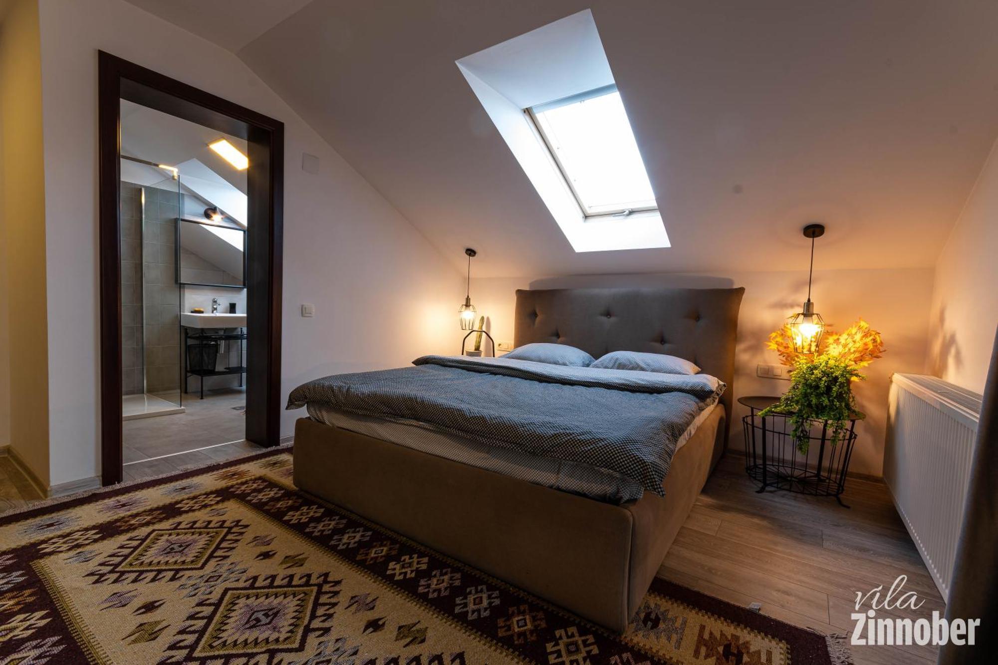 Vila Zinnober 布拉索夫 外观 照片